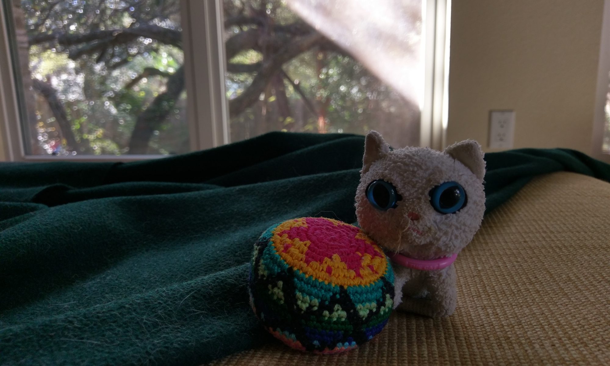 BigEyedKitties.Com